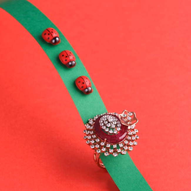 Conjunto Noiva